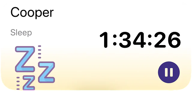 Timers widget
