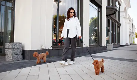 La alegría y la importancia de los paseos con cachorros: ¡más que solo ejercicio!