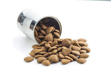 Puppy Nutrition 101: Cracking the Kibble Code