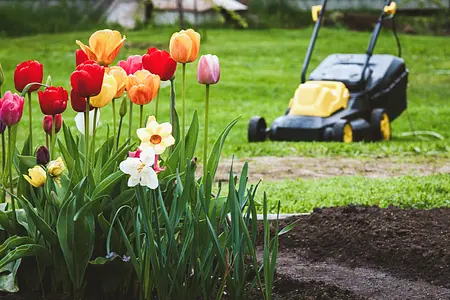 Gestión de tareas al aire libre: estrategias para mantener un patio, un jardín y un espacio habitable al aire libre ordenados