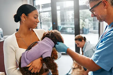 Puppy Vaccinations: What You Need to Know
